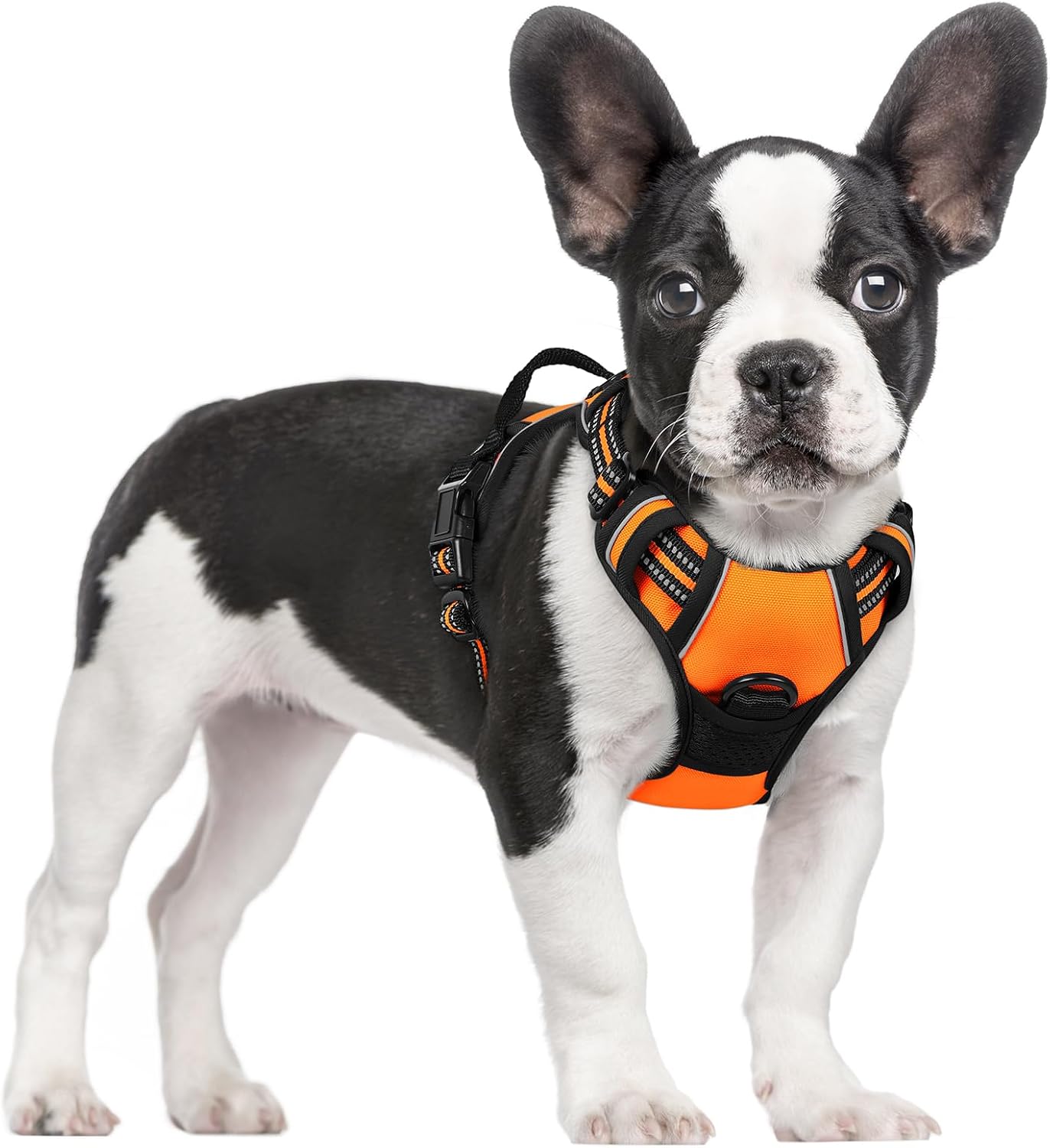 Rabbitgoo No-Pull Dog Harness